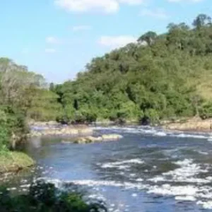 River Dynamics - British College Brasil - May 14th and 15th - B